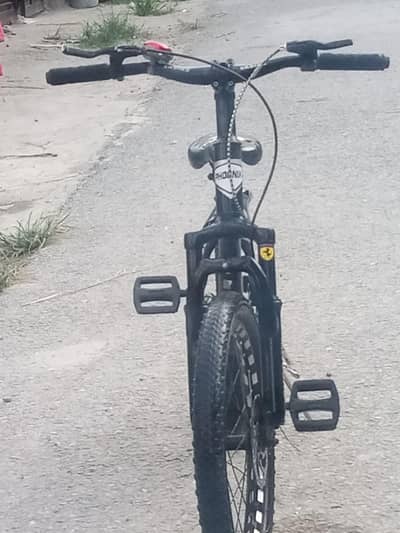 PHOONIX Cycle