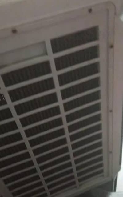 Air cooler