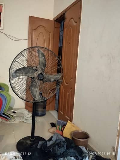 padistal fan