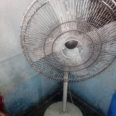 Fan for sale