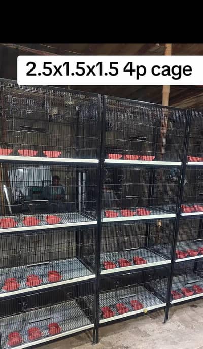 birds 4 porshans pinjara