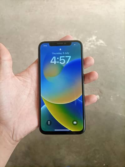 Apple iPhone X