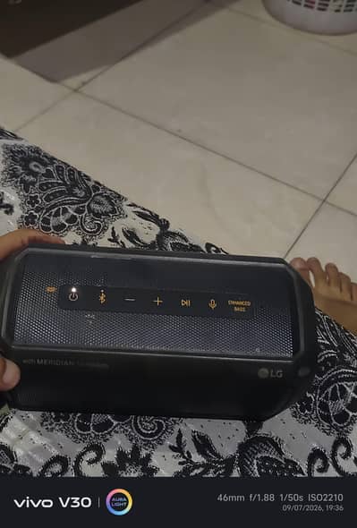Lg portable Bluetooth speakers
