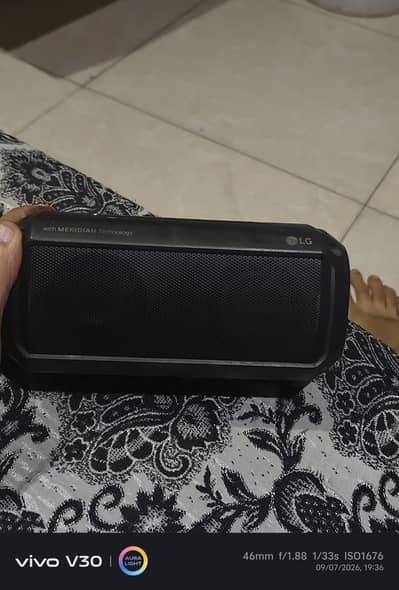 Lg portable Bluetooth speakers