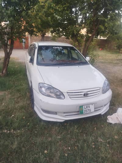 corala altus 2005