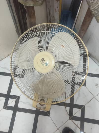 pak fan