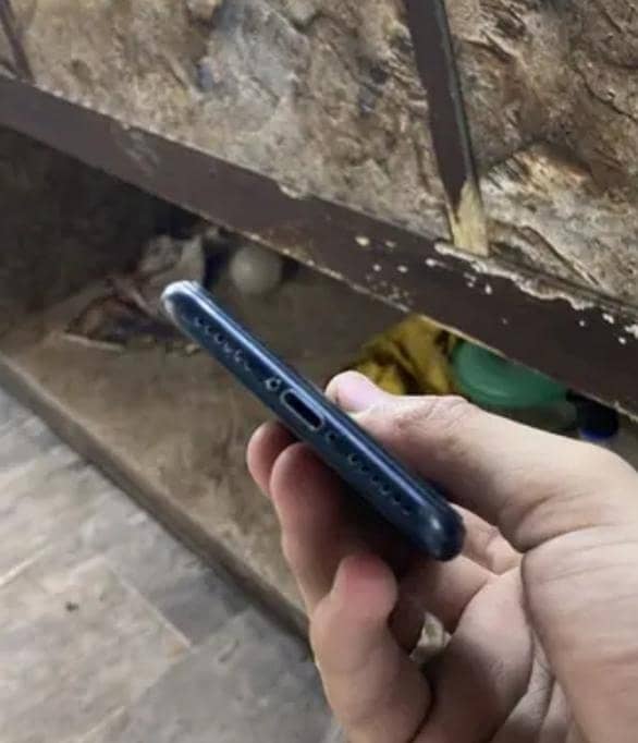 Apple iPhone 7 2