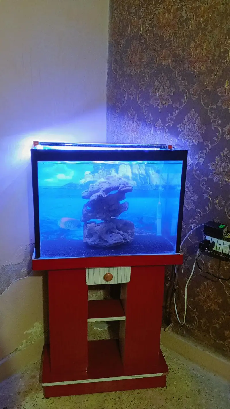 2 Feet Aquarium — photo 2