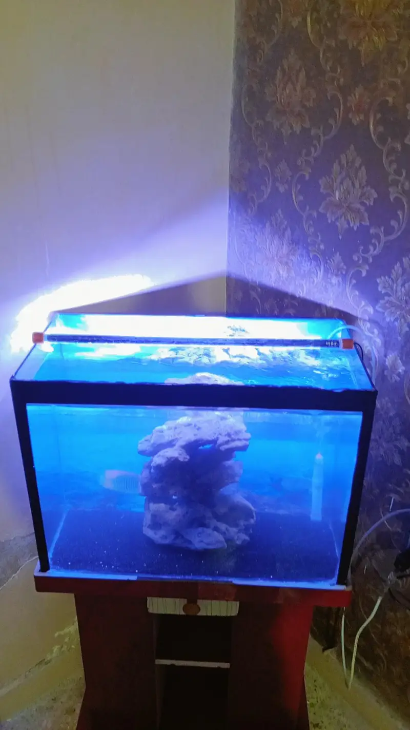2 Feet Aquarium — photo 3