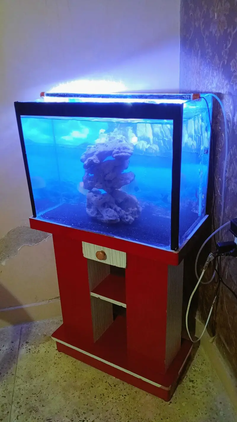 2 Feet Aquarium — photo 4