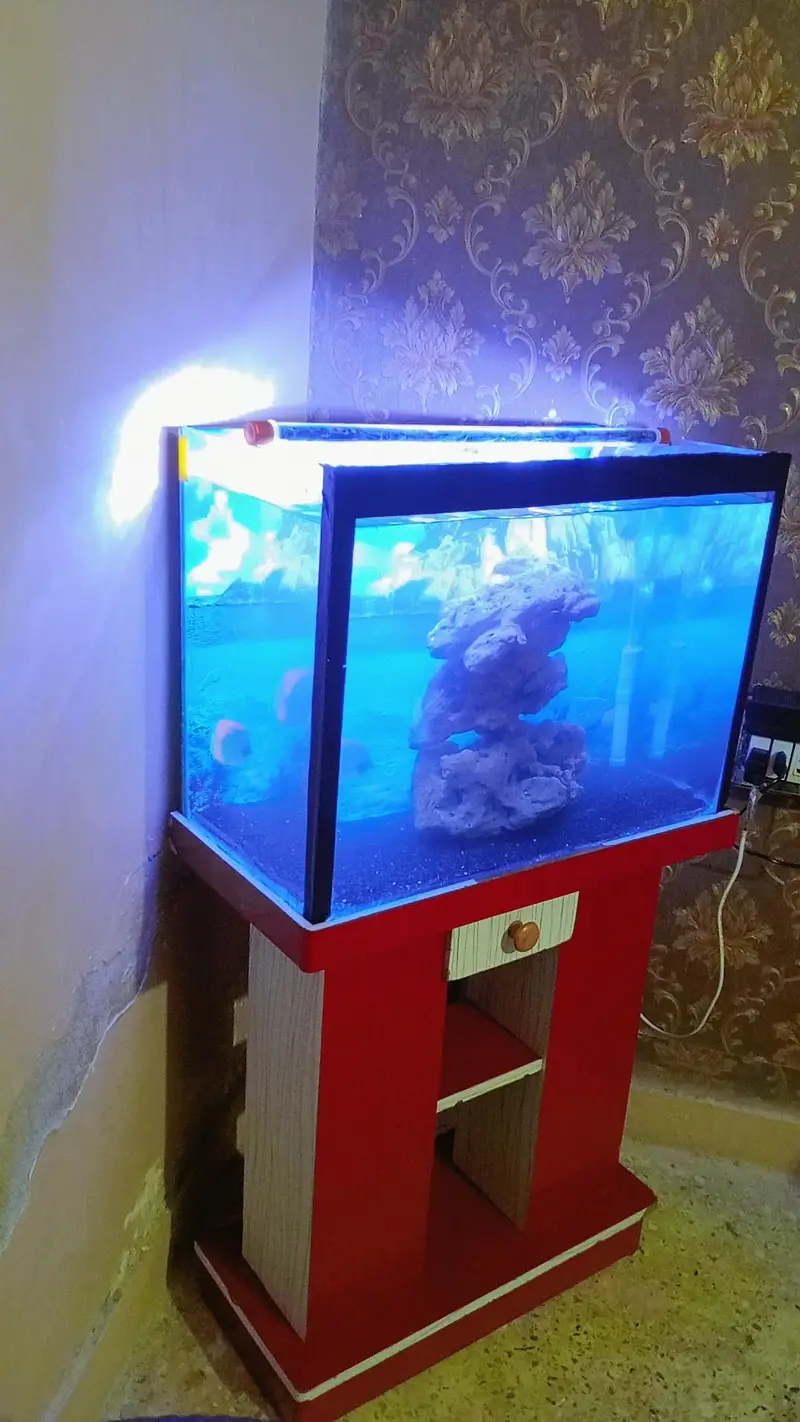 2 Feet Aquarium — photo 5