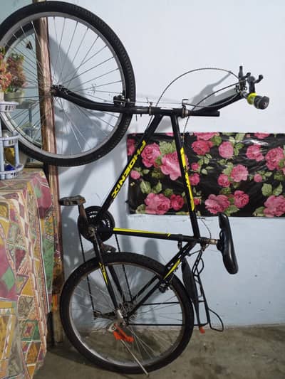 phoenix cycle