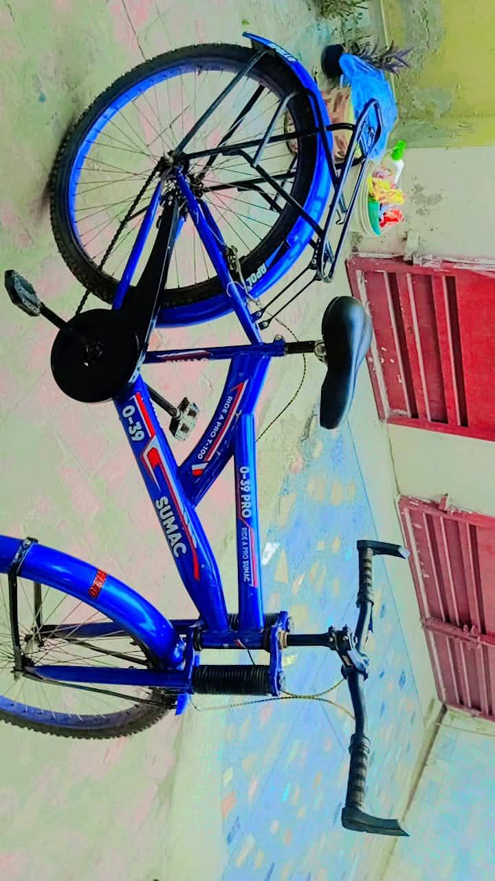 Bicycle 1