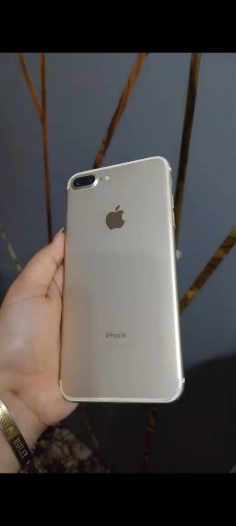 Apple iPhone 7 Plus 0