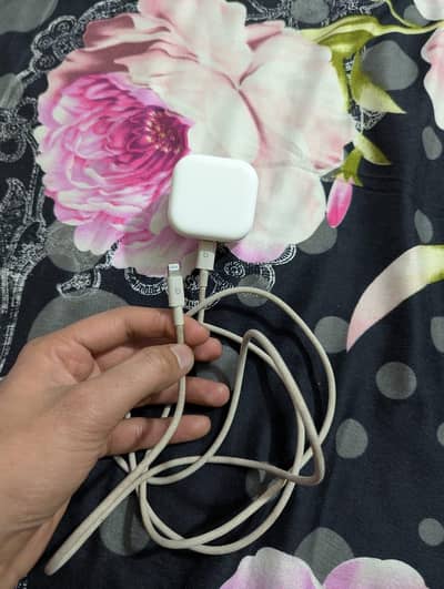 Apple 100% original charger and original cable with box .