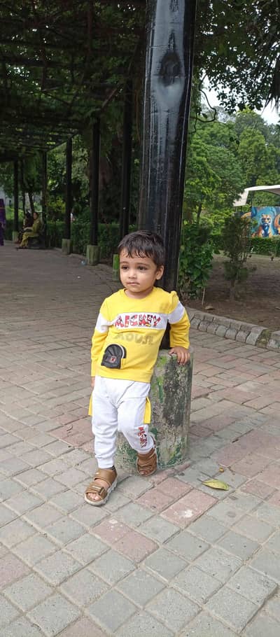 Mujahid Ali