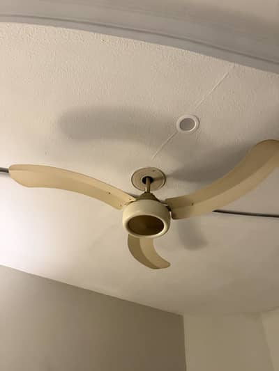 Lahore fan just like new