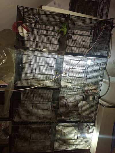 iron cages
