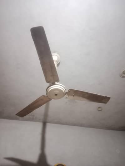 Good Working condition 10 by 10 urgent sale