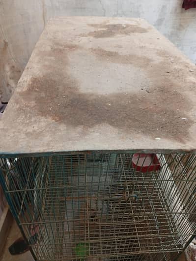 6 portion large birds Cage  Karachi . . . .