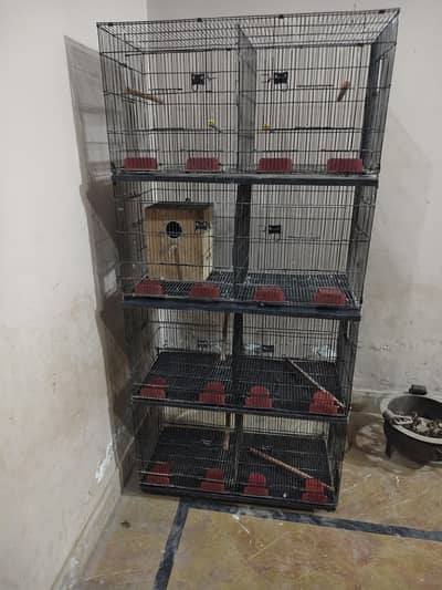 1.5 feet 8 portion cage
