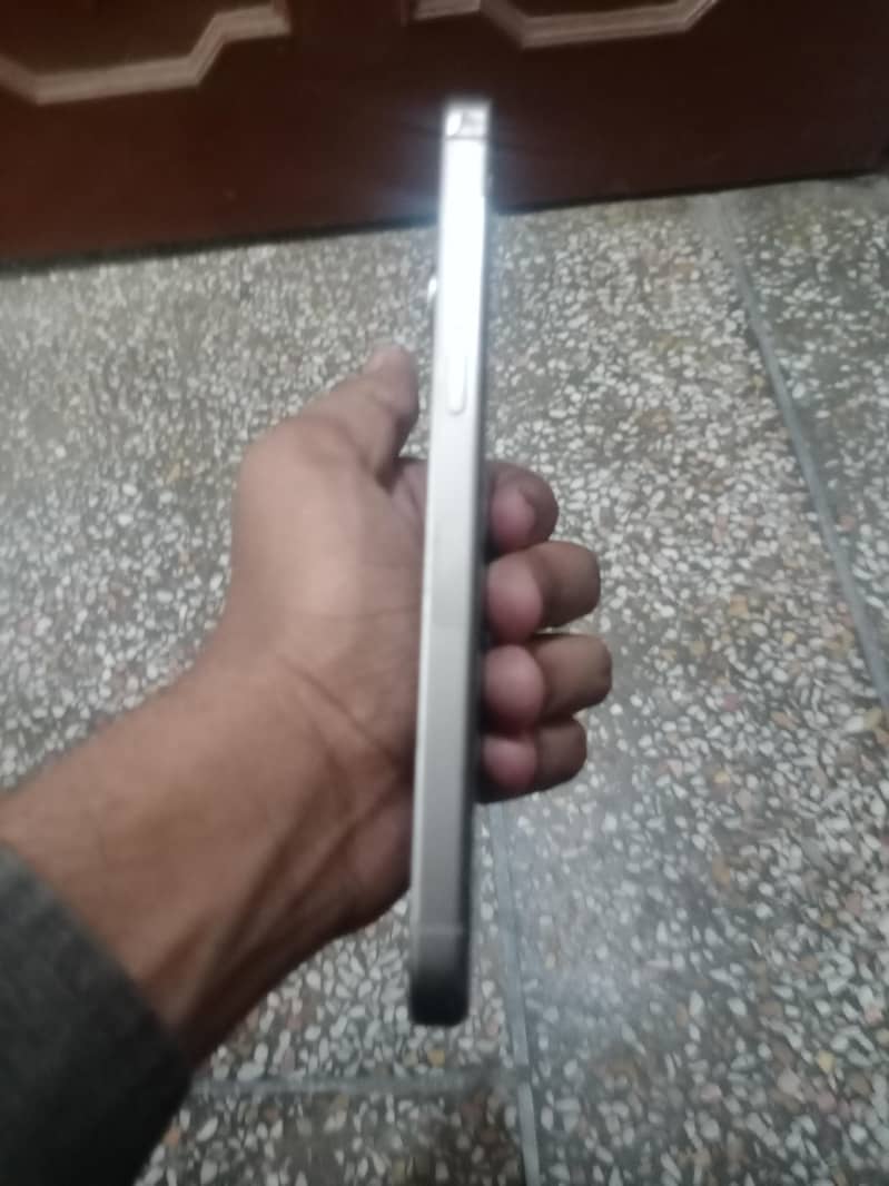 ip 15 pro max 2