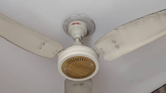Royal fan for Sale 100% copper
