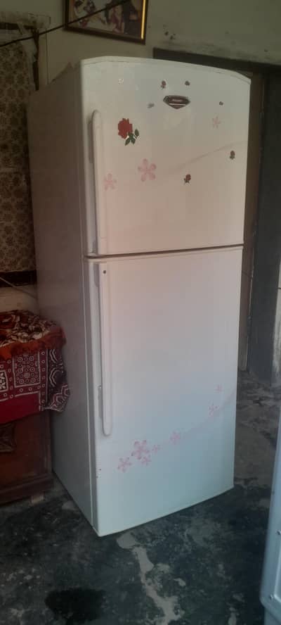 freezer