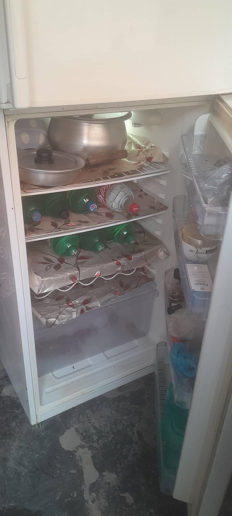 freezer 1