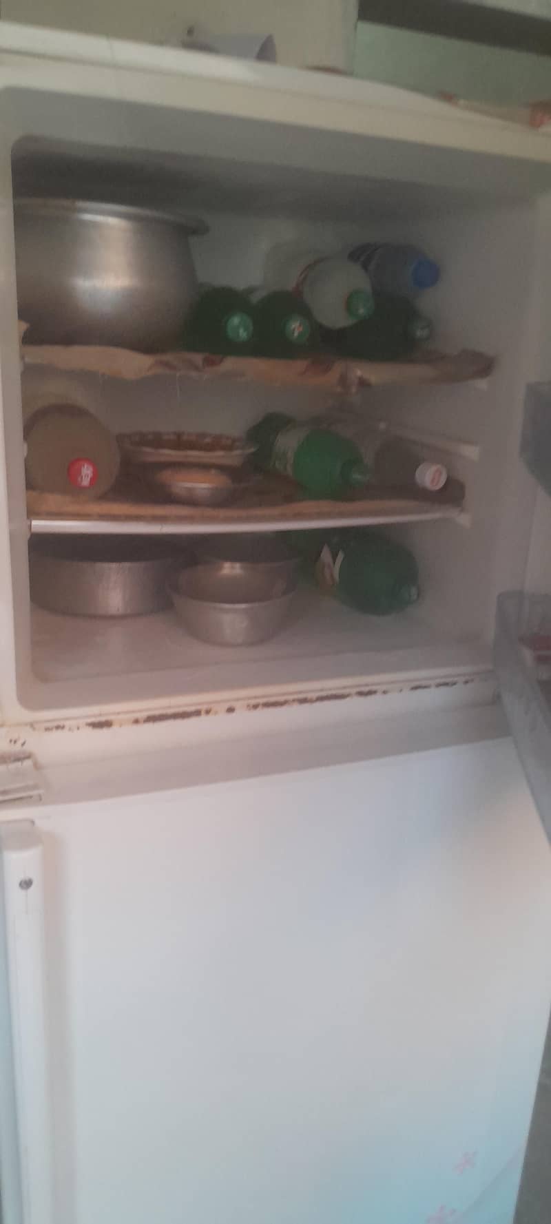 freezer 2
