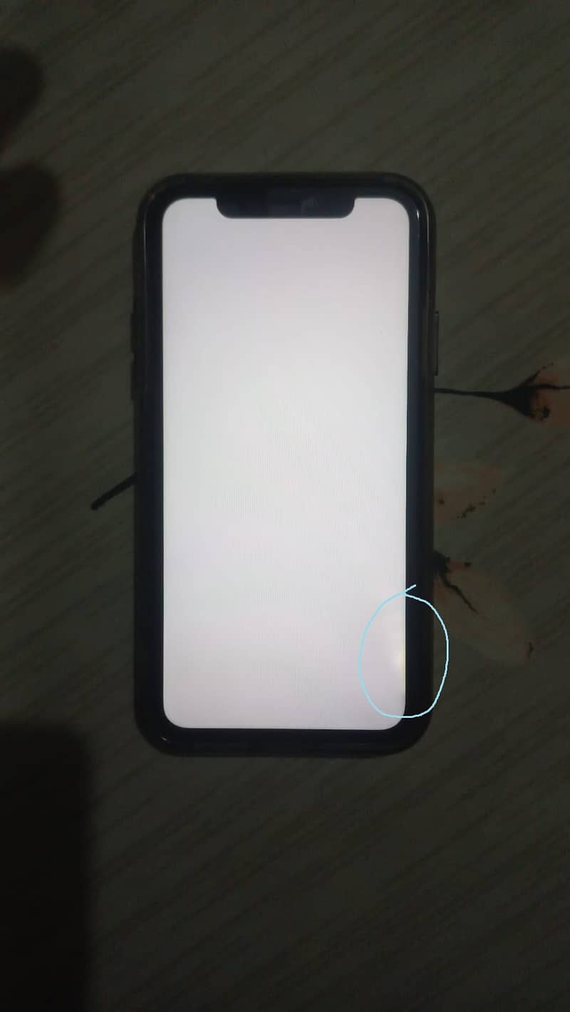 Apple iPhone 11 3