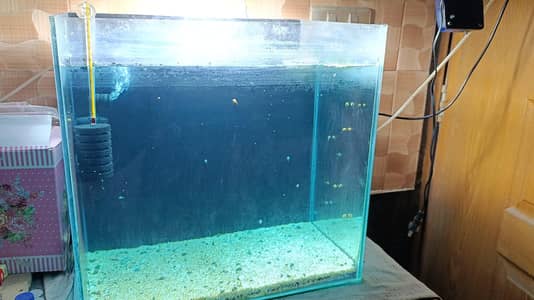 1.5 feet fish aquarium for sale