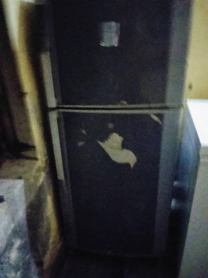فریج پرانا 1