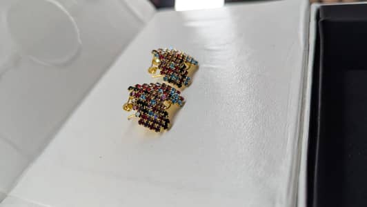Ladies fancy earinngs
