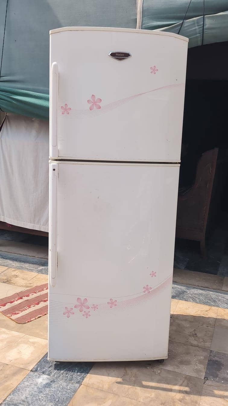 freezer 3