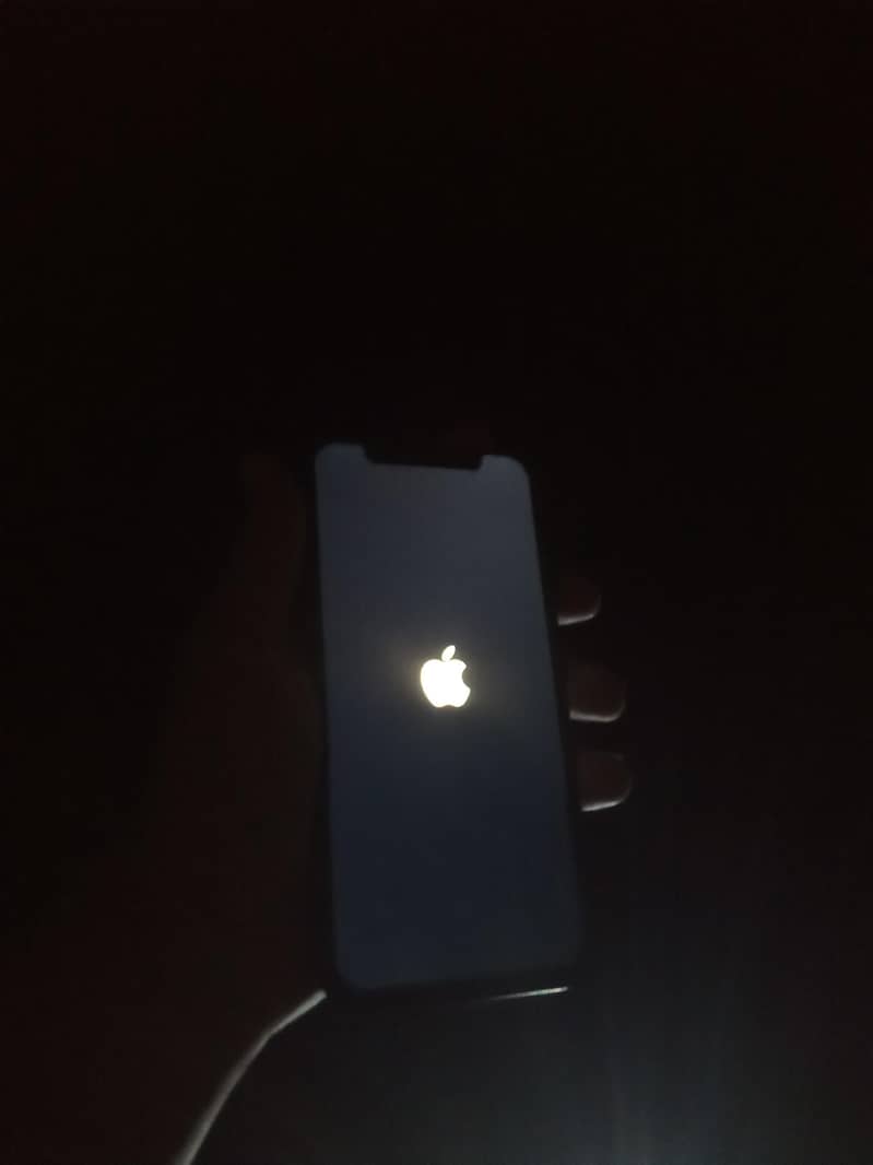 Apple iPhone 12 1
