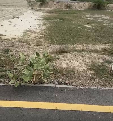 Bahria orchad phase 2 F1
