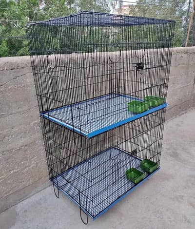 Hand tamed Birds and Cages available in low price