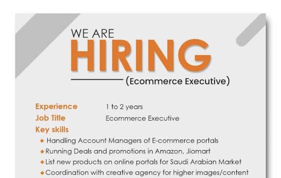 Ecommerce Executive 0