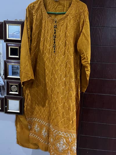 Cotton Chikankari kurti