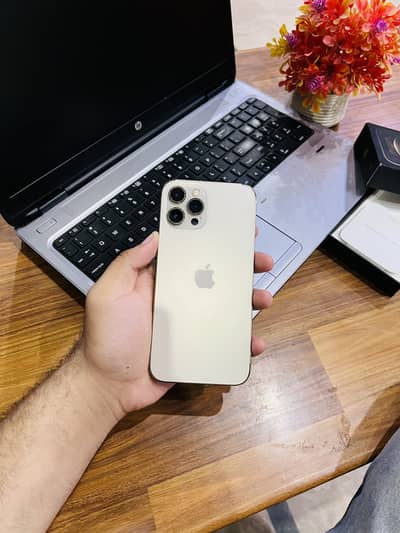 Apple iPhone 12 Pro Max