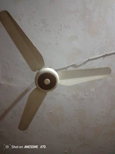 Fans are good quality
