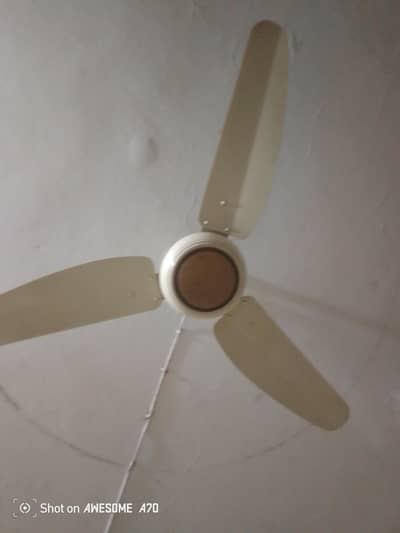 Lahore Fans