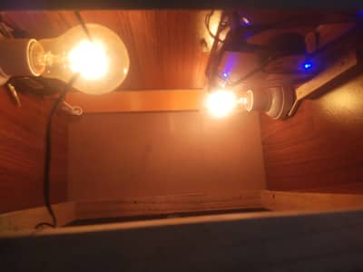 incubator