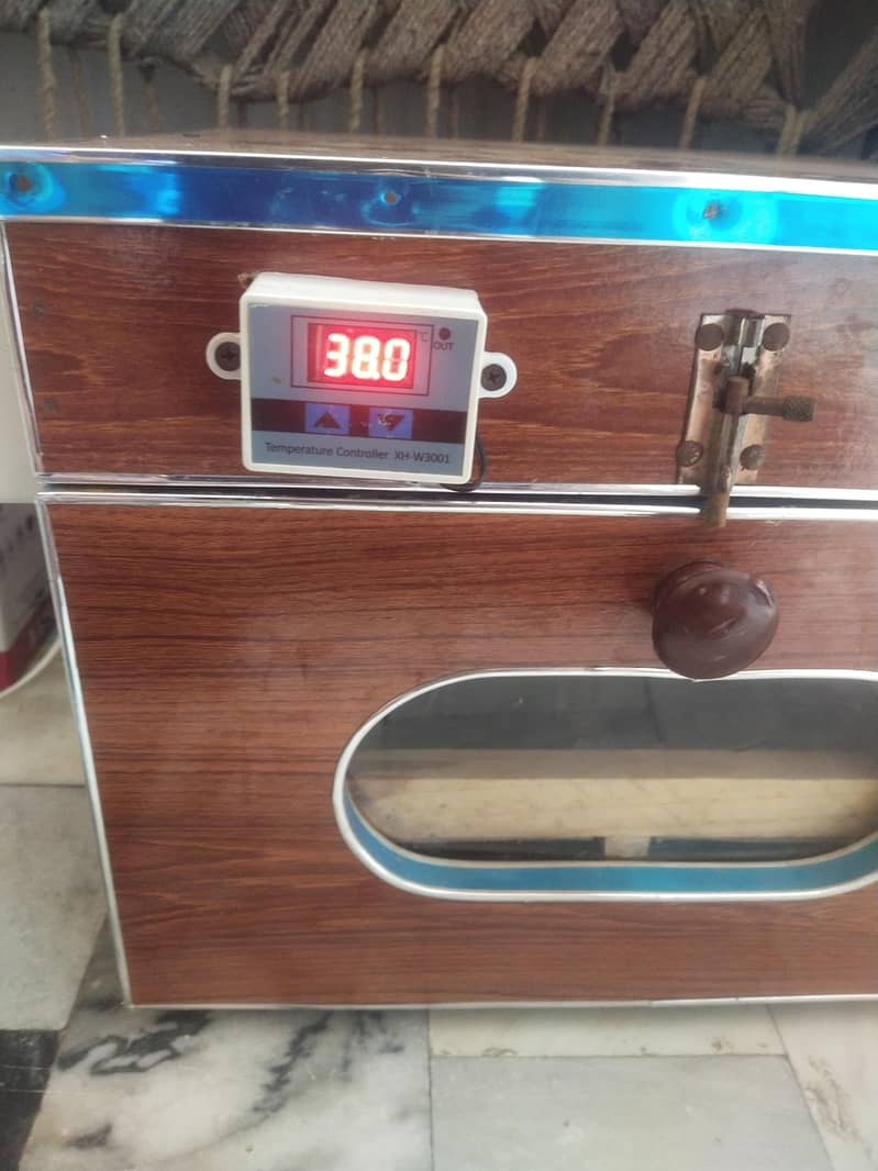 incubator 1