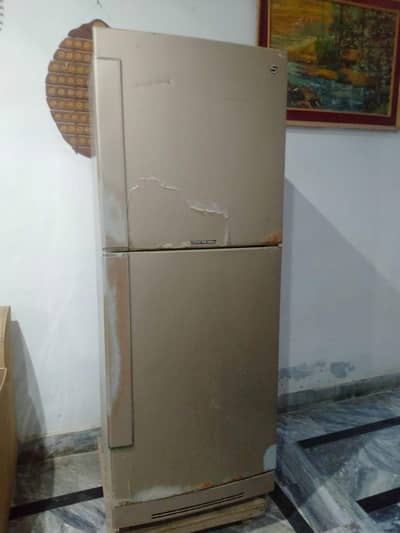 PEL Large Size Fridge Available – Urgent Sale