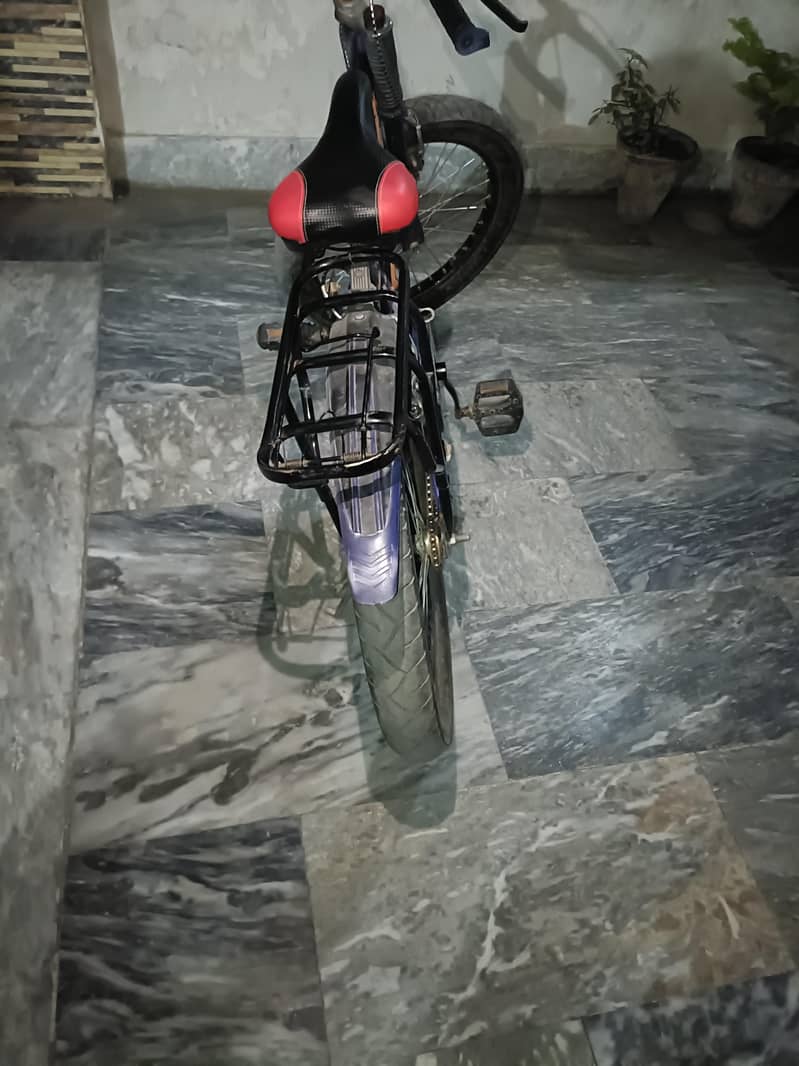 bicycle 2