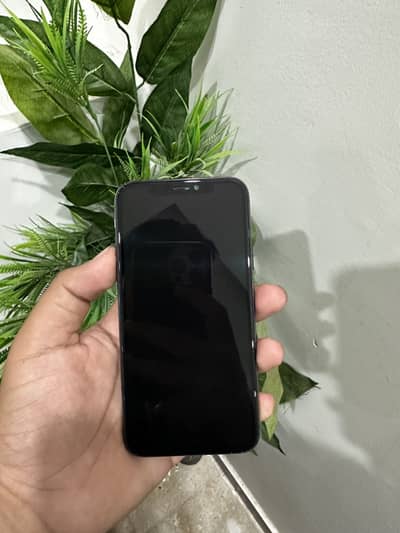 Apple iPhone X