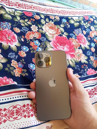 Apple iPhone 13 Pro Max