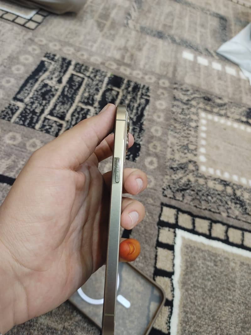 Apple iPhone 12 Pro Max 2